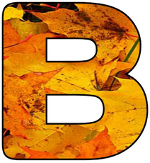 Herbstbuchstabe-2-B.jpg